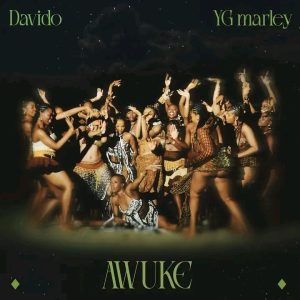 AWUKE Lyrics By Davido Ft YG Marley