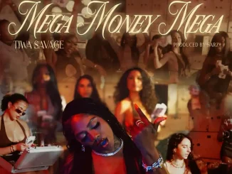 Tiwa Savage - Mega Money Mp3 Download