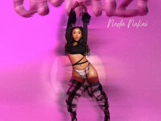 Nadia Nakai  Umfazi Ft. Umthakati Kush Mp3 Download